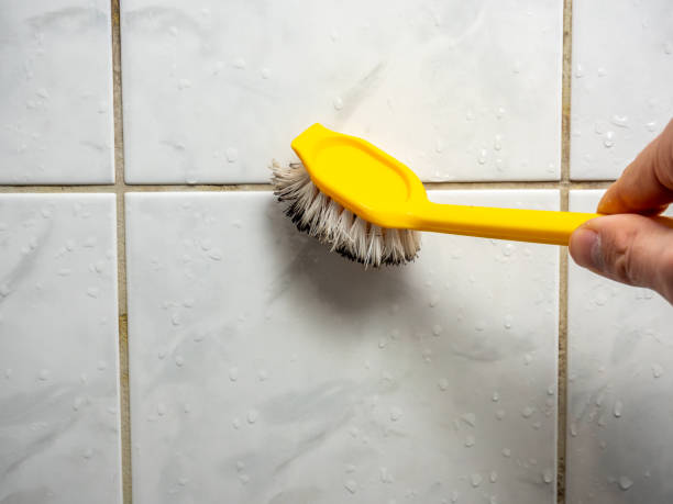 Best Mold Testing  in Woodfield, SC