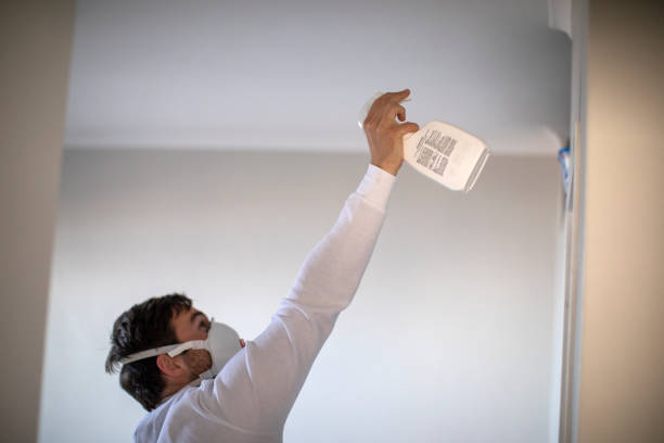 Best Toxic Mold Removal  in Woodfield, SC